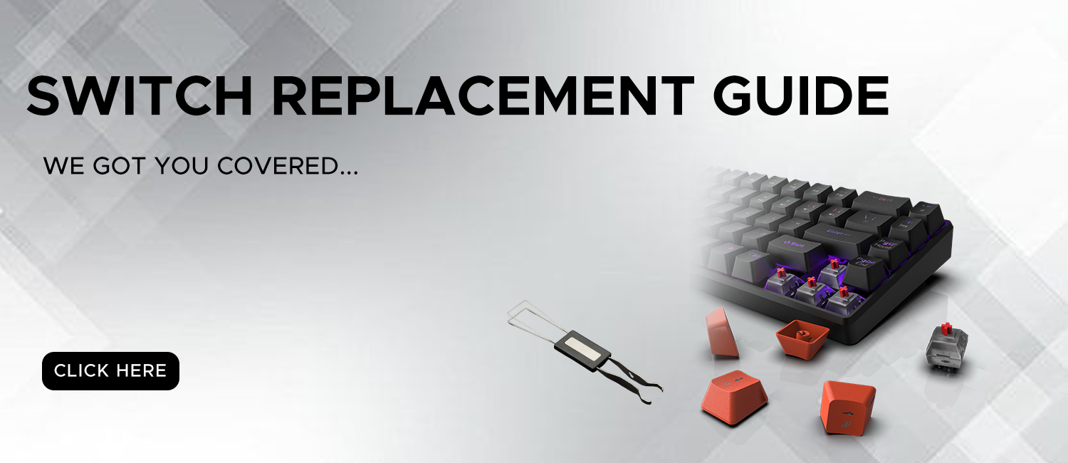 Switch Replacement Guide